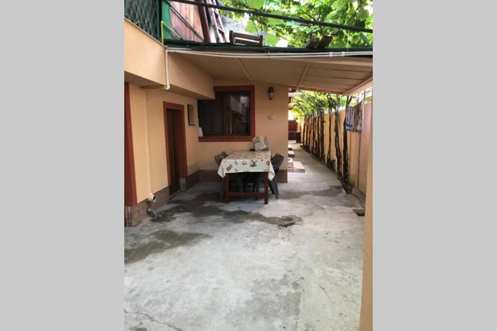 הוילה קונסטנצה Casa Roxana מראה חיצוני תמונה